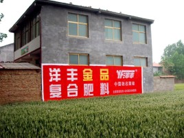 会同如何让墙体广告展现最大化效果