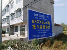 会同墙体广告质量分析