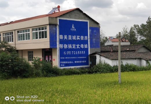 会同决定墙体广告价格的因素有哪些？
