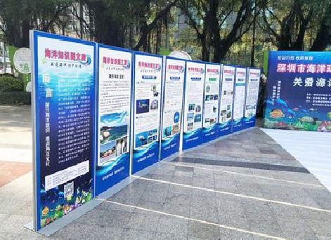 会同KT板的种类和知识。